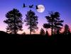 Moon Light alsunna.org (3)